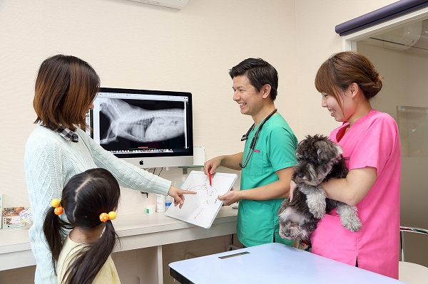 予防や治療方針のご相談はぜひ藤沢市にあるりほの動物病院へ