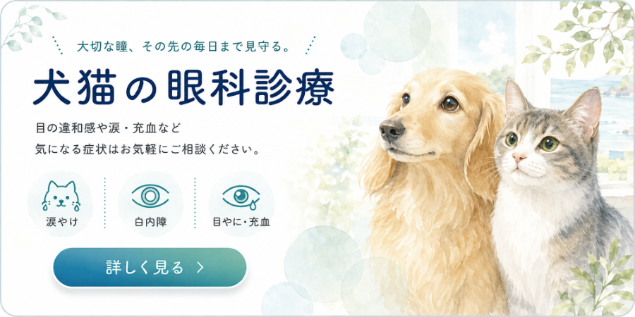 バナー