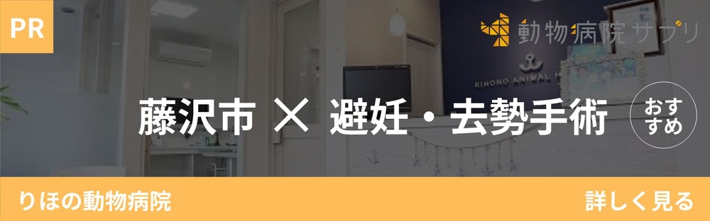 動物病院サプリ