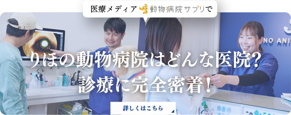 アニマルドック